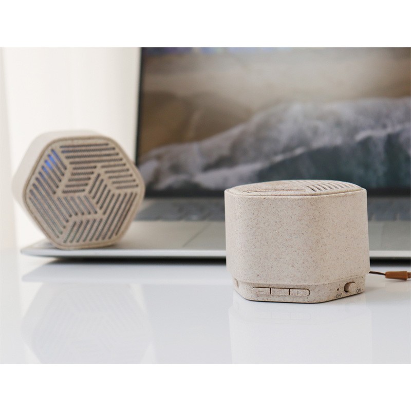500pcs Bluetooth Speakers for Singapore Annual Dinner;